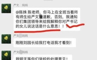 前妻出轨？儿子三岁？“严书记”的调查结果出来了！